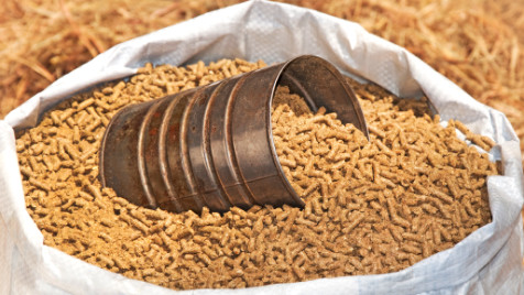 gbs-product-feed-grains