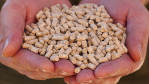 gbs-product-pellets