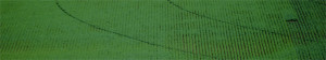 tagline-grass-bg-2x
